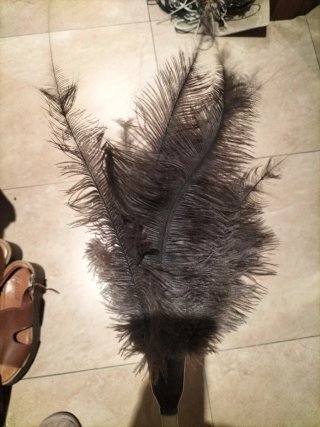 Plumero de Plumas