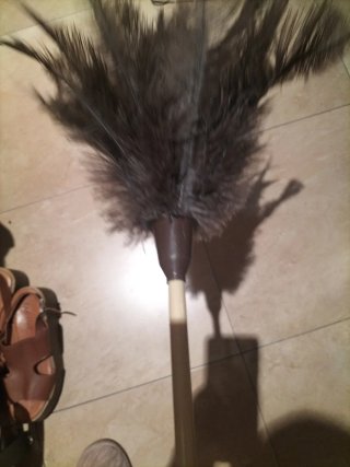 Plumero de Plumas