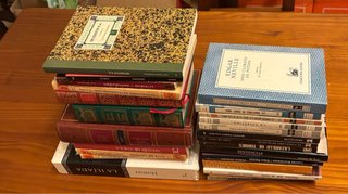 Lote de 25 Libros Clásicos y Contemporáneos