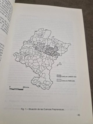Poblamiento rural de Navarra en la Edad Media: ...