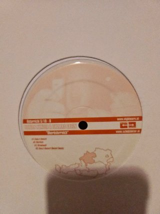 Lote 6 Vinilos Hard Techno- Schranz Nuevos