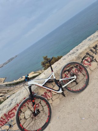 Bicicleta Specialized Expert Carbono