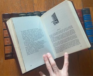 Lote de Livros condensados - Selecções