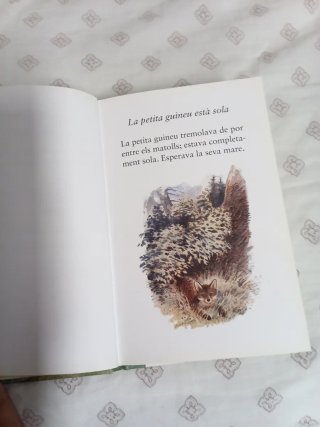 La guineueta perduda
