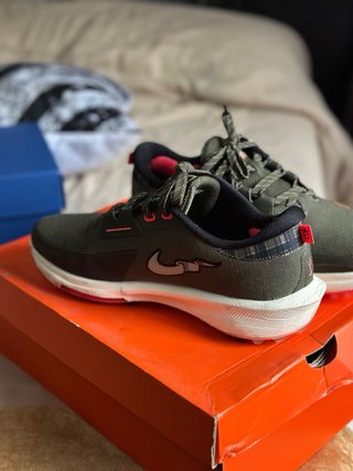 Nike Air Zoom Infinity Tour 2