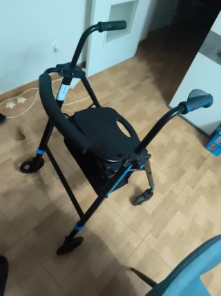 Carrito de minusválidos