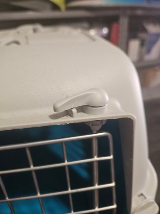Trasportino per cani di piccola taglia o gatti