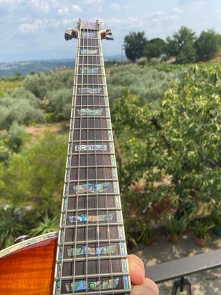 Guitarra Elétrica ESP LTD EC-1000 Sunburst