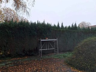 Servicio de jardinería