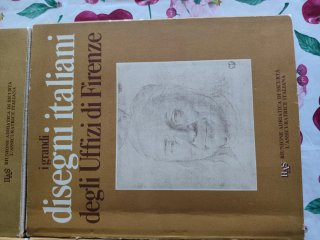 I grandi disegni collezione