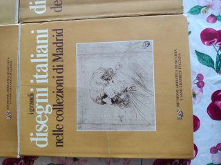 I grandi disegni collezione