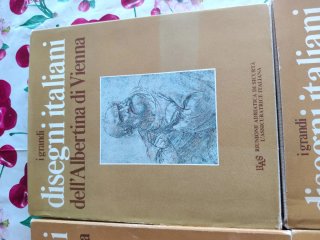I grandi disegni collezione