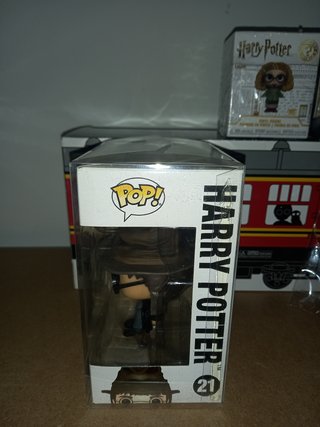 Funko Caja Misteriosa Exclusiva Harry Potter 21