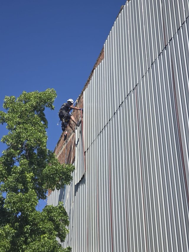 Trabajo verticales