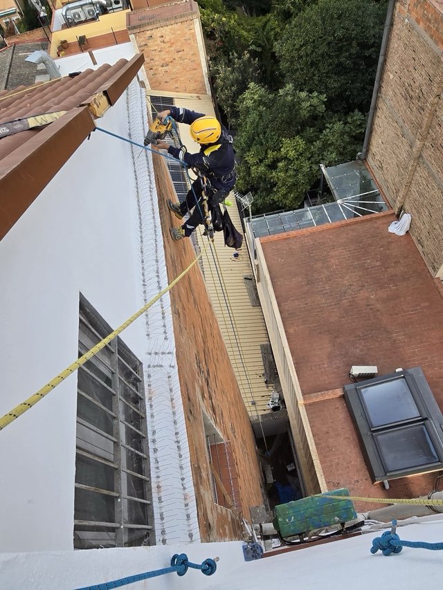 Trabajo verticales