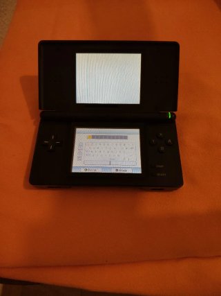 Nintendo DS Lite Negra