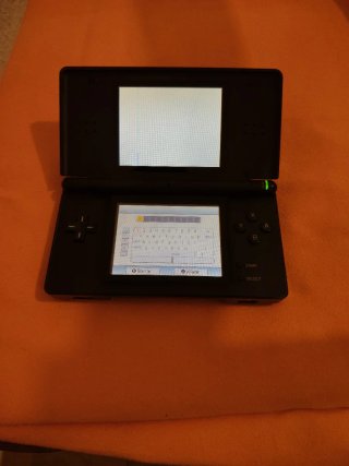 Nintendo DS Lite Negra