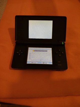 Nintendo DS Lite Negra
