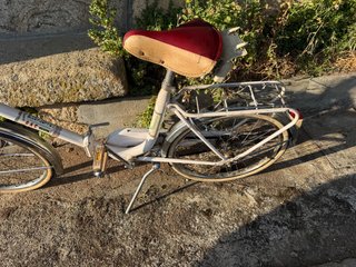 Bicicleta Plegable GAC Mobylette Clásica
