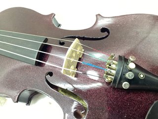 violin zest gf002b-wr
