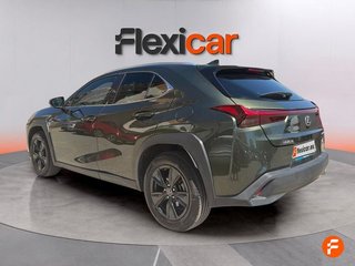 Lexus UX 2.0 250h Business