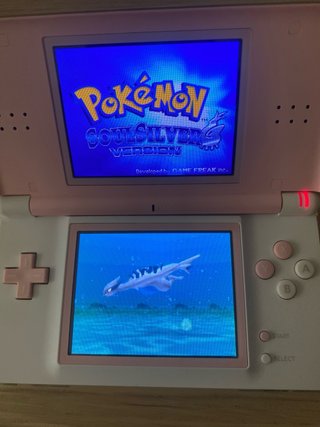 Nintendo DS Rosa + Gioco