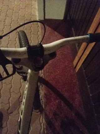Bicicleta de Descenso Specialized