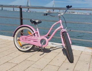 Bicicleta Electra Hawai 16 Rosa