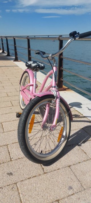 Bicicleta Electra Hawai 16 Rosa