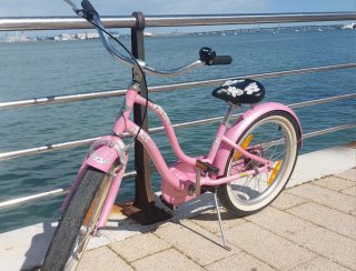 Bicicleta Electra Hawai 16 Rosa