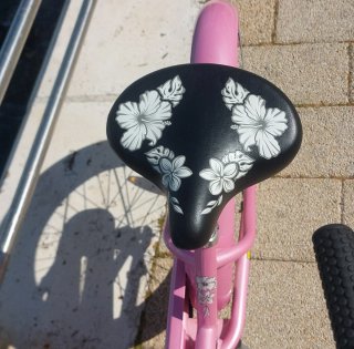 Bicicleta Electra Hawai 16 Rosa