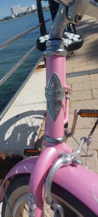 Bicicleta Electra Hawai 16 Rosa