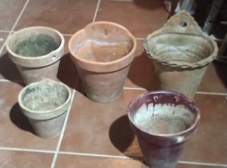 Lote de macetas de cerámica y terracota