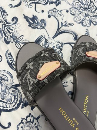 Chanclas Louis Vuitton Beige/Gris