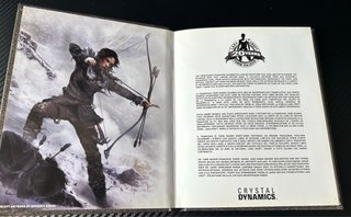 Rise of the Tomb Raider - 20th (PS4)
