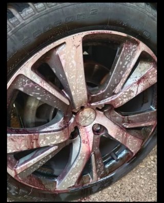 LIMPIEZA COCHES PREMIUM Y DETALLADOS