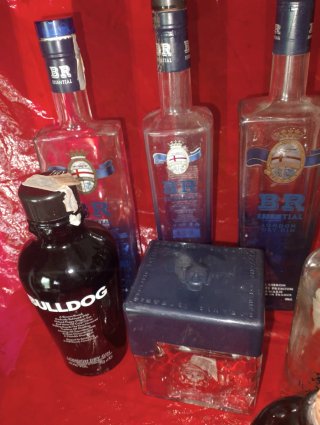 Collezione di bottiglie vuote di gin