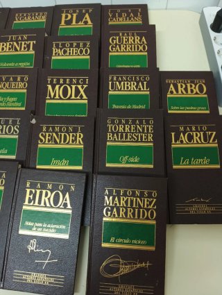 Lote 37 libros grandes autores españoles siglo xx