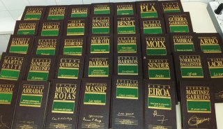 Lote 37 libros grandes autores españoles siglo xx