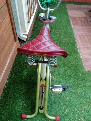 Bicicleta Estática Torrot Antigua
