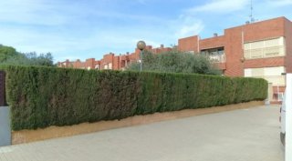 Mantenimiento de jardines