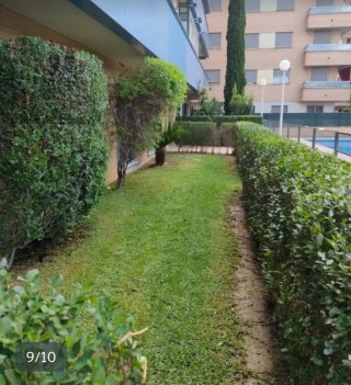 Mantenimiento de jardines