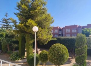 Jardinero particular profesional