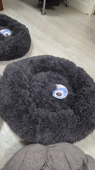 Cojines para mascotas