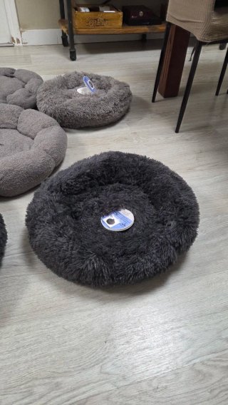 Cojines para mascotas