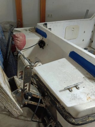 Barco con remolque Taylor 50