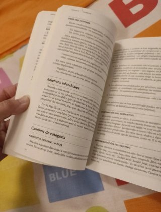 Nueva gramática básica de la lengua española