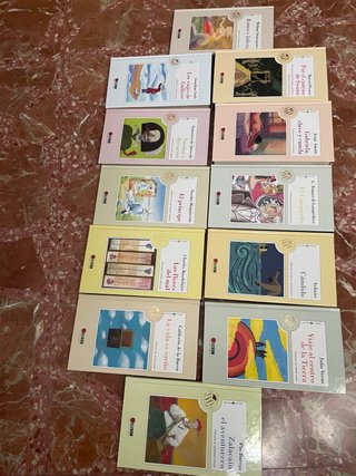 Lote 12 libros