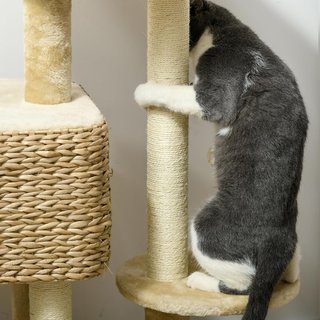 Rascador para Gatos con Casita, Plataforma y Pelota de Juguete, Árbol para Gatos de Madera, Poliéster, Sisal y Algodón PP, 60X40X98 Cm, Marrón y Beige