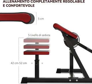 Banco Romano 2 en 1 para Curl y Tríceps, Banco de Fitness Multifuncional con Asiento de 5 Niveles y 25 Regulaciones, Negro